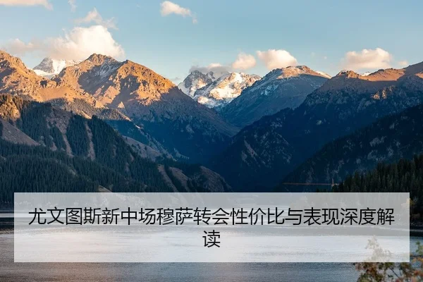 尤文图斯新中场穆萨转会性价比与表现深度解读